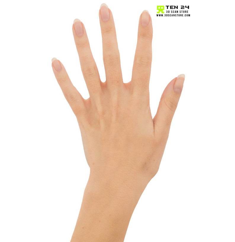Female Hand 02 Fingers Straight